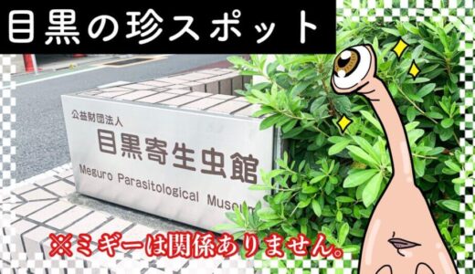 【感想】デートスポットらしい『目黒寄生虫館』に行ってきた。動物の臓器に亀の頭に…珍スポットすぎた。